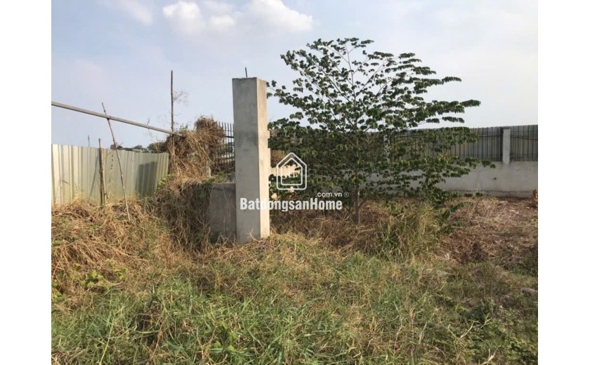 Đất Vuông SHR HXH 1440m2 – Trương Thị Như Hóc Môn